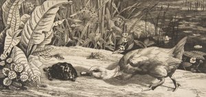 Bilinmeyen, 1862. by Felix Bracquemond