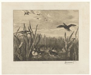 Sazlıklar arasında suda deniz mavisi olan manzara Sarcelles (nesne üzerindeki başlık) by Felix Bracquemond