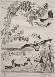 Lapwings ve Teals by Felix Bracquemond