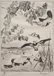 Lapwings ve Teals, 1862. by Felix Bracquemond