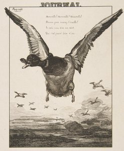 Ördek, 1856. by Felix Bracquemond