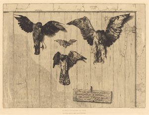 Kapı kanadının üstü (Ahır Kapısına Çivilenmiş Kuşlar) by Felix Bracquemond