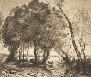 Göl, 1861. by Felix Bracquemond