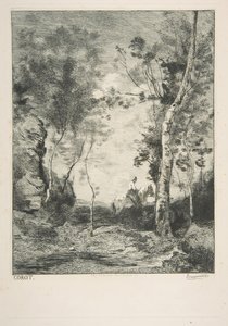 Beyaz At, 1858. by Felix Bracquemond
