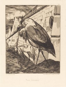 Leylekler by Felix Bracquemond