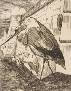 Leylekler, 1870