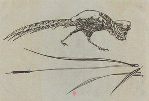 Sülün by Felix Bracquemond