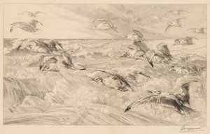 Martılar by Felix Bracquemond