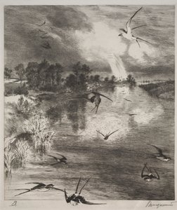 kırlangıçlar by Felix Bracquemond