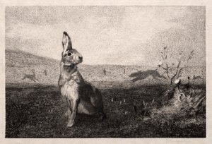 A. de Balleroy