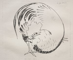 Yüksek Ateşli Servis: Horoz karşı dayanıklı, c. 1860. by Felix Bracquemond