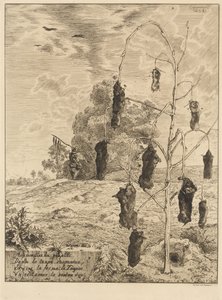 benler by Felix Bracquemond