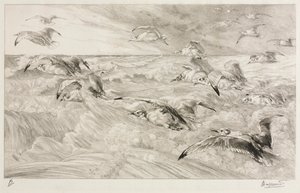 Martılar by Felix Bracquemond