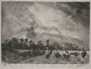 Fırtına Bulutu by Felix Bracquemond
