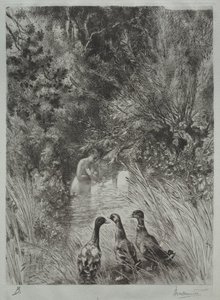 Sürpriz Ördekler by Felix Bracquemond