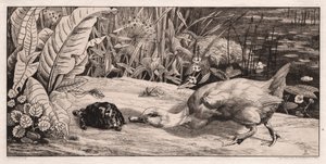 Bilinmeyen by Felix Bracquemond