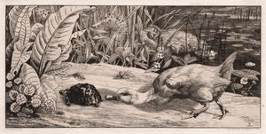 Bilinmeyen, 1862.