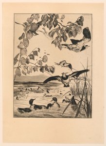 Vanneaux et Sarcelles (Kız kanatları ve Teal) by Felix Bracquemond