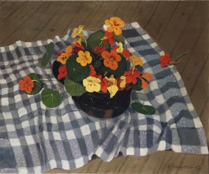 Nasturtium kasesi by Felix Edouard Vallotton