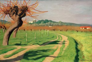 Cagne Vadisi by Felix Edouard Vallotton