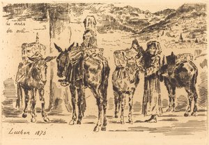 Güneyden eşek yaprakları, 1873. by Felix Hilaire Buhot