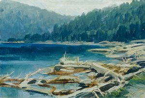 Šumava ("Çek Manzaralarının 16 Görünümü 'Česka Krajiná'" portföyünden)