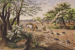 Nisan (renkli litho)