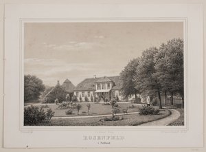 Rosenfeld, Zelanda