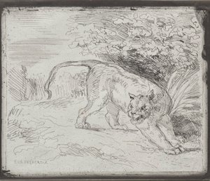 Tuzağa Düşen Kaplan, 1854. by Ferdinand Victor Eugene Delacroix