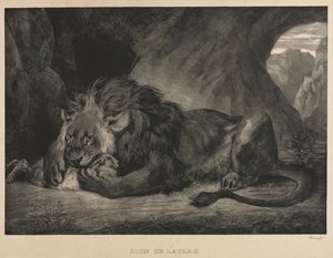 Atlas Aslanı, 1829. by Ferdinand Victor Eugene Delacroix