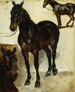 Atlarla İlgili Üç Çalışma; Atların Üç Çalışması, c.1823 by Ferdinand Victor Eugene Delacroix