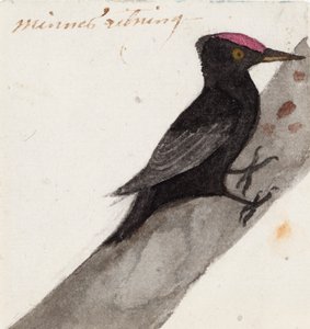  by Ferdinand von Wright