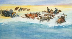  by Ferdinando Tacconi