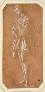 Elleri kollarında katlanmış duran genç bir adamın incelenmesi (pembe hazırlanmış kağıt üzerinde metalpoint, beyaz gövde rengiyle yükseltilmiş) by Filippino Lippi