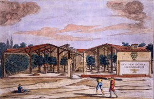 Giovanni Battista Ferrari