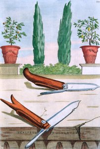 Bahçe Bıçağı, Giovanni Battista Ferrari