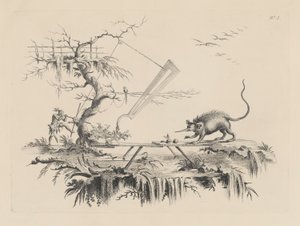 Baştan Kuyruğa vahşi hayvanları parçalamak için yeni bir cihaz by Filippo Morghen