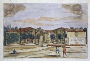 Giovanni Battista Ferrari tarafından Hesperides