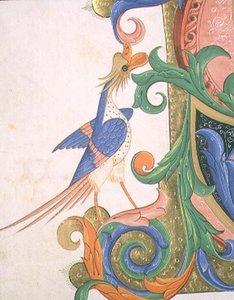 Missal 515 f.20v Fantastik kuş, 1449