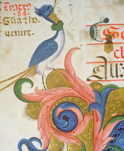 Missal 515 f.28v Tarihe geçmiş bir baş harfinin köşesinde insan başlı fantastik kuş, 1449