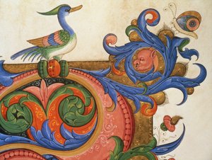 Missal 515 f.92v Ördek benzeri kuş ve kelebek ile zoomorfik yapraklar, 1449 parşömen öncesinde yürütülen bir Koro Kitabından tarihi bir baş harfi çevreleyen dekorasyon detayı
