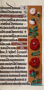 Ms. 1058-1975, f.120r: Saatler Kitabı