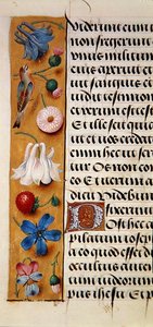 Ms. 1058-1975, f.22v: Saatler Kitabı