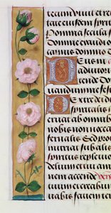 Ms. 1058-1975, f.34v: Saatler Kitabı
