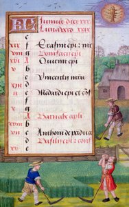 Ms 1058-1975 f6r Çim Biçme, bir Saatler Kitabından Haziran ayı için ışıklı takvim sayfası, c.1500 (parşömen) by Flemish School