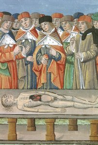 Ms Hunter 9 f.36r Diseksiyon, De Medina Fen I. II