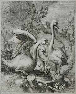 Eski Usta Gravür by Flemish School