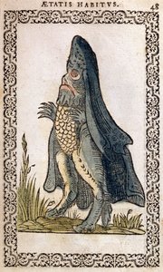 Deniz Piskoposu veya deniz canavarı, Jean Sluperji, Anvers, 1572 (renkli gravür) tarafından hazırlanan Neredeyse Tüm Milletlerin ve Çağdaş Milletlerin Alışkanlıkları ve Portreleri