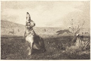 tavşan by Félix Bracquemond after Albert de Balleroy