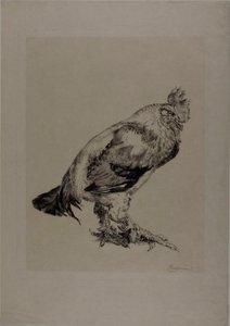  by Félix Henri Bracquemond